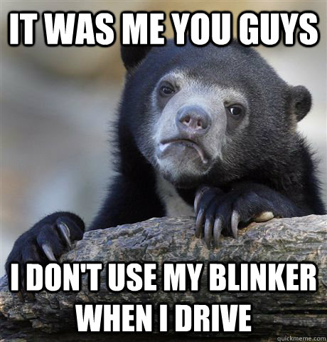 it was me you guys i don't use my blinker when i drive  Confession Bear