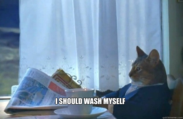 I should wash myself   Sophisticated Cat