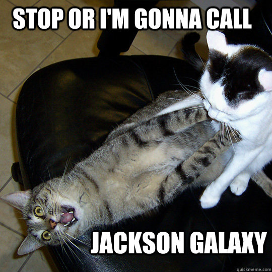 Stop or I'm Gonna Call Jackson Galaxy - Stop or I'm Gonna Call Jackson Galaxy  J. Galaxy