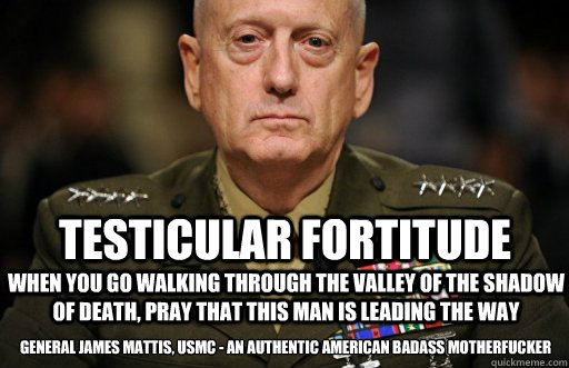 Testicular Fortitude When you go walking through the valley of the shadow of death, Pray That This Man Is Leading The Way General James Mattis, USMC - An Authentic American Badass Motherfucker  