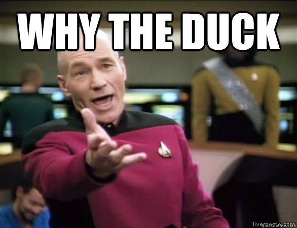 why the duck   Annoyed Picard HD