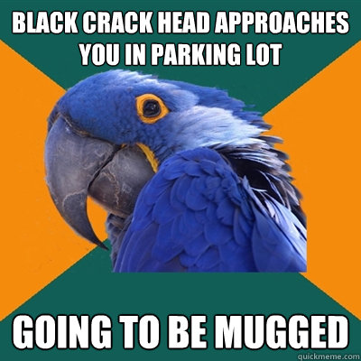 black crack head approaches you in parking lot going to be mugged  Paranoid Parrot