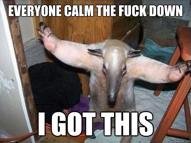 Everyone Calm The fuck down i got this  I got this