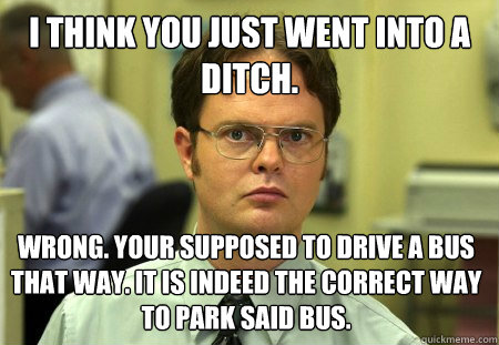 I think you just went into a ditch. wrong. Your supposed to drive a bus that way. It is indeed the correct way to park said bus.  Dwight