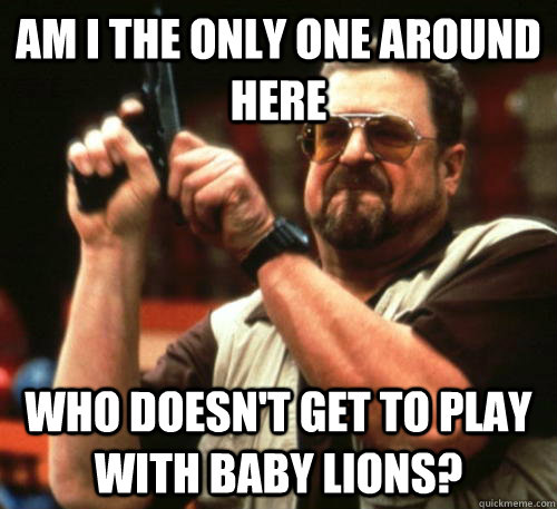 Am i the only one around here who doesn't get to play with baby lions? - Am i the only one around here who doesn't get to play with baby lions?  Am I The Only One Around Here