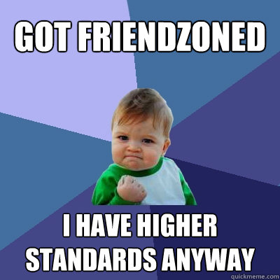 Got Friendzoned I have higher standards anyway  Success Kid