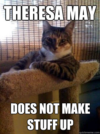 Theresa May Does not make stuff up  The Most Interesting Cat in the World