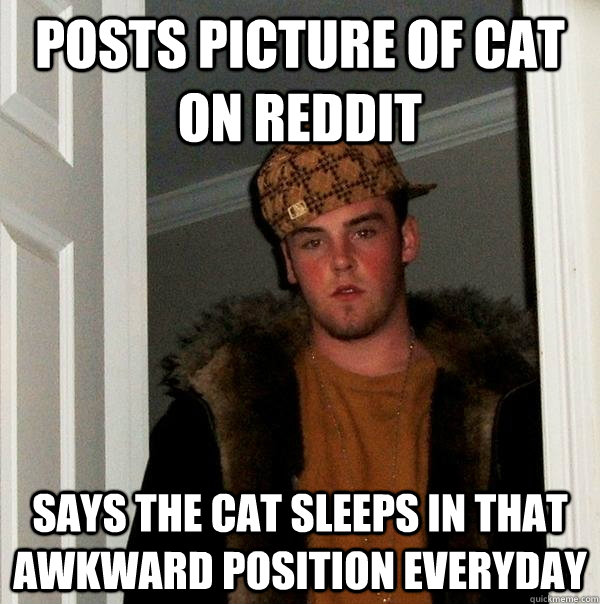 Posts picture of cat on reddit says the cat sleeps in that awkward position everyday  Scumbag Steve