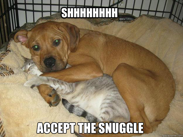 Shhhhhhhh Accept the snuggle  Accept the snuggle