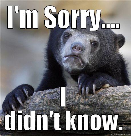 I'M SORRY.... I DIDN'T KNOW. Confession Bear