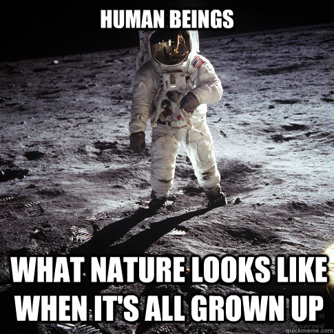 human beings what nature looks like when it's all grown up  Buzz Aldrin