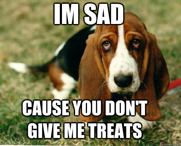 im sad cause you don't give me treats  Basset Hound of guilt