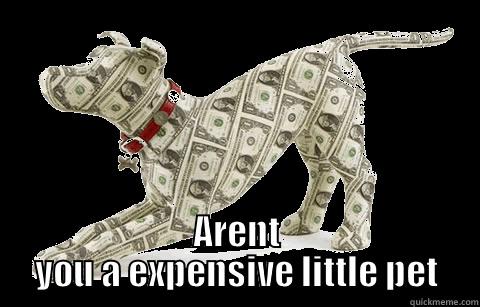  ARENT YOU A EXPENSIVE LITTLE PET Misc