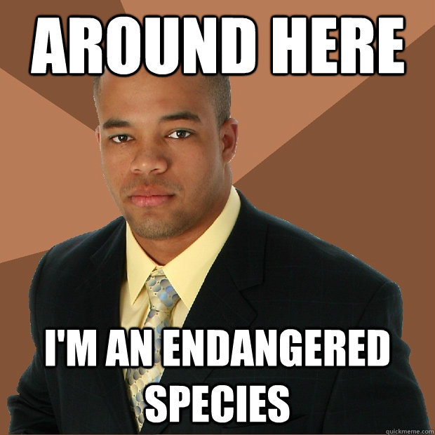Around Here I'm an endangered species  Successful Black Man