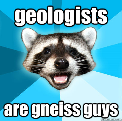 geologists are gneiss guys  Lame Pun Coon