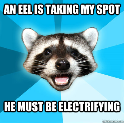 An eel is taking my spot he must be electrifying   Lame Pun Coon