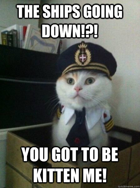 The ships going down!?! You got to be Kitten me!  Captain kitteh