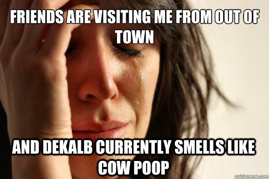 friends are visiting me from out of town And Dekalb currently Smells Like cow poop  First World Problems