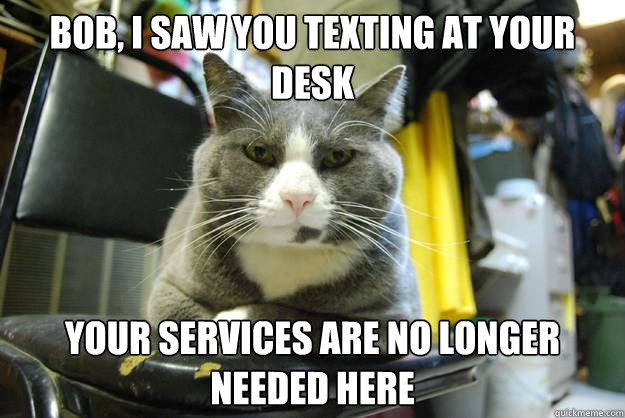 Bob, I saw you texting at your desk Your services are no longer needed here - Bob, I saw you texting at your desk Your services are no longer needed here  Serious Business Cat