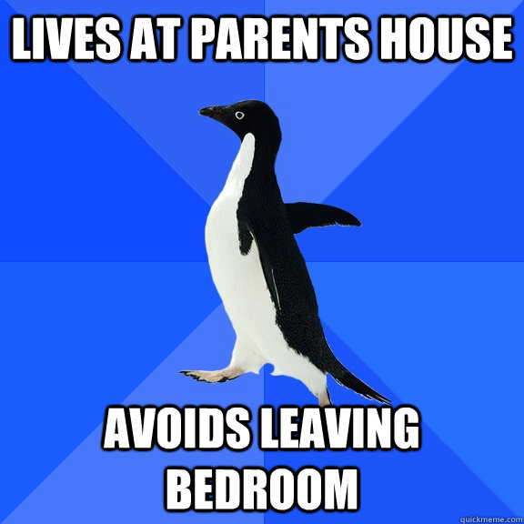 Lives at parents house Avoids leaving bedroom  Socially Awkward Penguin