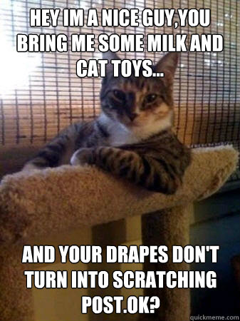 Hey im a nice guy,you bring me some milk and cat toys... and your drapes don't turn into scratching post.OK?  The Most Interesting Cat in the World