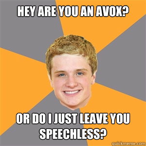 Hey are you an avox? Or do I just leave you speechless?  Peeta Mellark