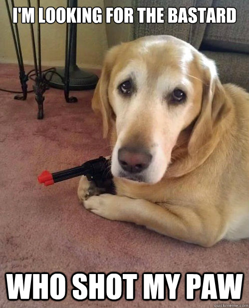 I'm looking for the bastard who shot my paw - I'm looking for the bastard who shot my paw  Confession Hound