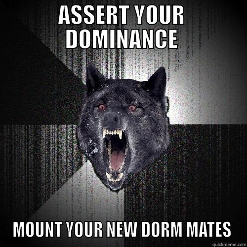 ASSERT YOUR DOMINANCE MOUNT YOUR NEW DORM MATES Insanity Wolf