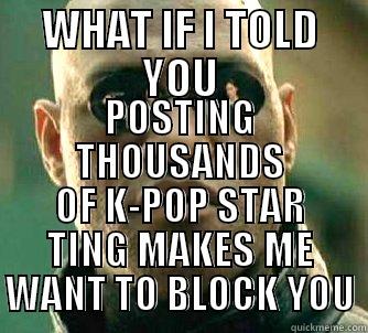 WHAT IF I TOLD YOU POSTING THOUSANDS OF K-POP STAR TING MAKES ME WANT TO BLOCK YOU Matrix Morpheus
