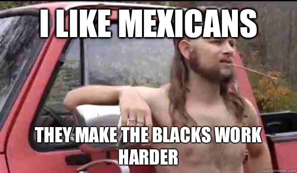I like Mexicans  They make the blacks work harder  Almost Politically Correct Redneck