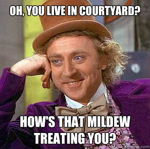Oh, You Live in Courtyard? How's that Mildew Treating You?  Condescending Wonka