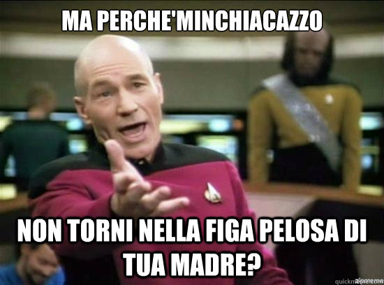 Ma perche'minchiacazzo non torni nella figa pelosa di tua madre?  Annoyed Picard HD