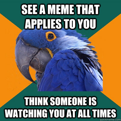 see a meme that applies to you think someone is watching you at all times  Paranoid Parrot