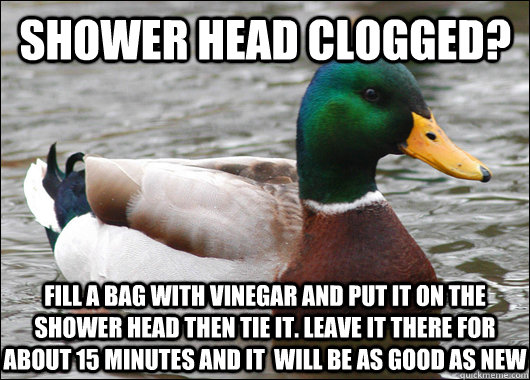  Shower head clogged? Fill a bag with vinegar and put it on the shower head then tie it. Leave it there for about 15 minutes and it  will be as good as new  Actual Advice Mallard