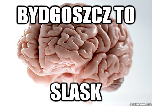 Bydgoszcz to slask  Scumbag Brain