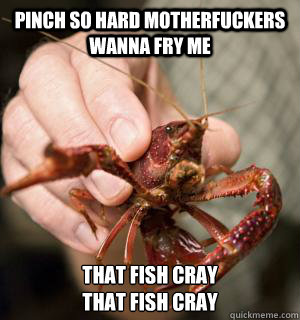 pinch so hard motherfuckers wanna fry me that fish cray
that fish cray  crayfish