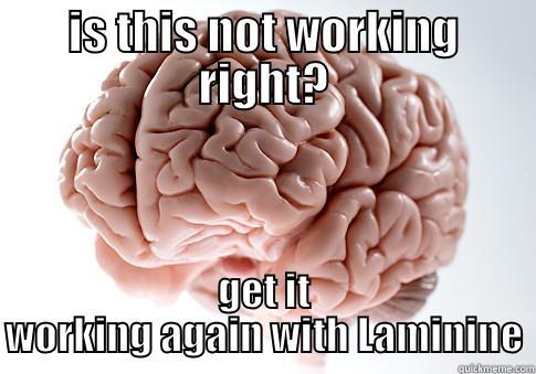 IS THIS NOT WORKING RIGHT? GET IT WORKING AGAIN WITH LAMININE Scumbag Brain