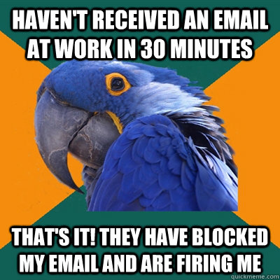 Haven't received an email at work in 30 minutes that's it! they have blocked my email and are firing me  Paranoid Parrot