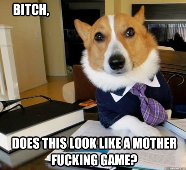 Does this look like a mother fucking game? Bitch, - Does this look like a mother fucking game? Bitch,  Lawyer Dog