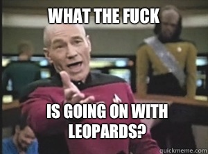 What the fuck is going on with leopards?  Annoyed Picard
