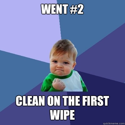Went #2 Clean on the first wipe  Success Kid