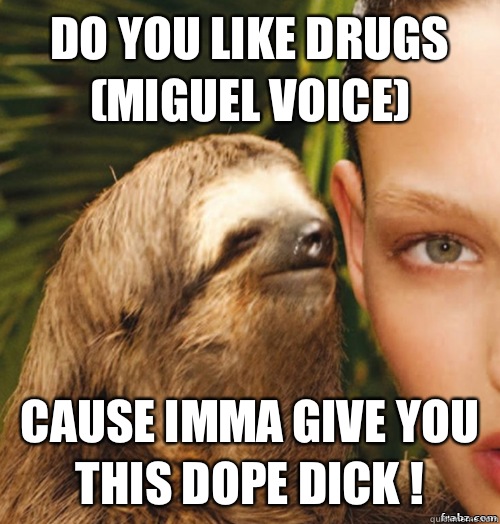 do you like drugs (Miguel voice) cause imma give you this dope dick !  rape sloth