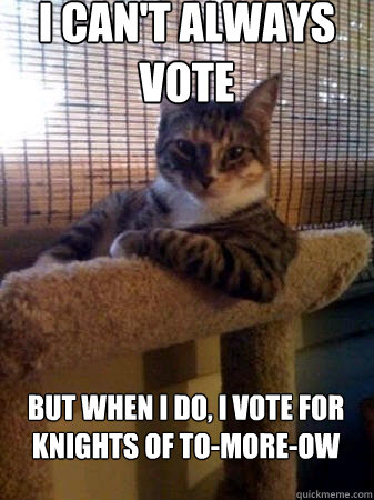 i can't always vote but when I do, i vote for knights of to-more-ow  The Most Interesting Cat in the World