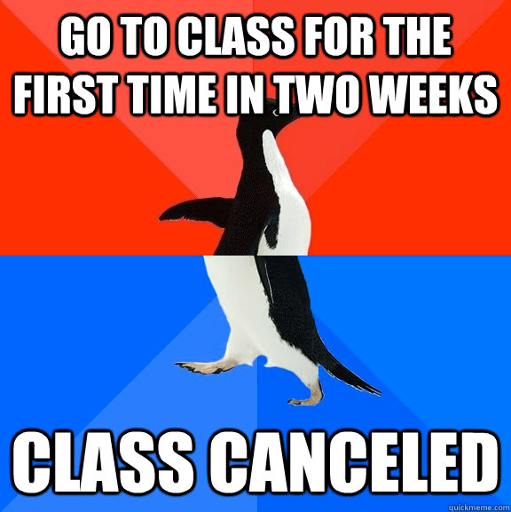 Go to class for the first time in two weeks class canceled   Socially Awesome Awkward Penguin
