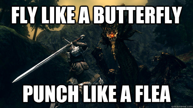 Fly like a butterfly punch like a flea - Fly like a butterfly punch like a flea  Dark Souls Meme
