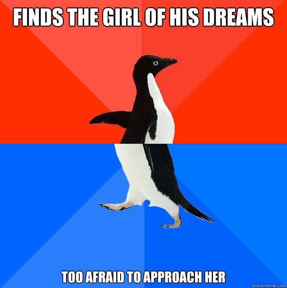 Finds the girl of his dreams too afraid to approach her  Socially Awesome Awkward Penguin