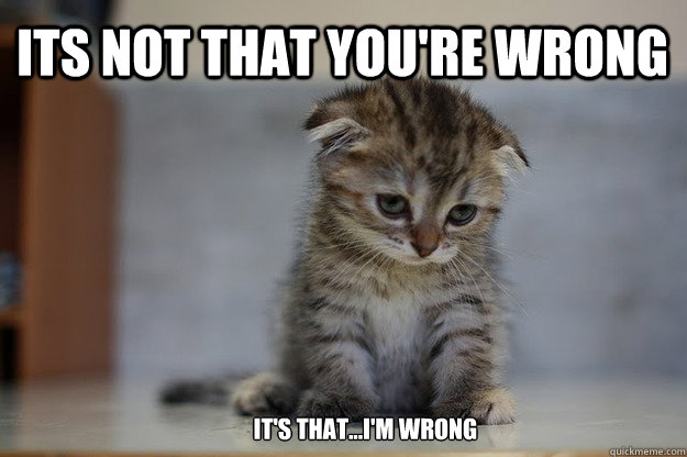 Its not that you're wrong          it's that...I'm wrong  Sad Kitten