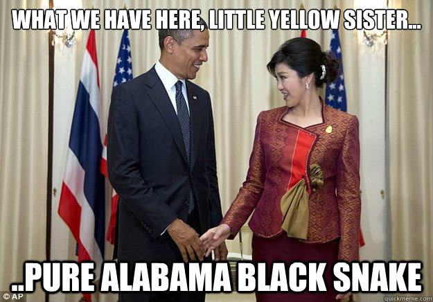 What we have here, little yellow sister... ..Pure Alabama Black Snake  alabama black snake