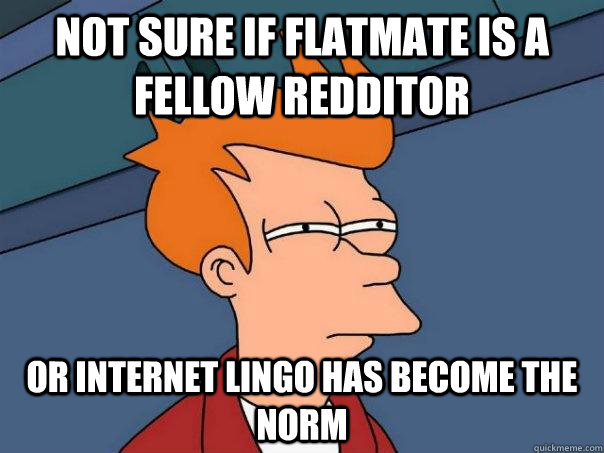Not sure if flatmate is a fellow Redditor Or internet lingo has become the norm - Not sure if flatmate is a fellow Redditor Or internet lingo has become the norm  Futurama Fry