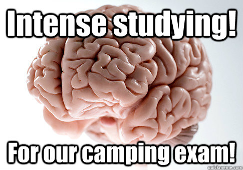Intense studying! For our camping exam!   Scumbag Brain